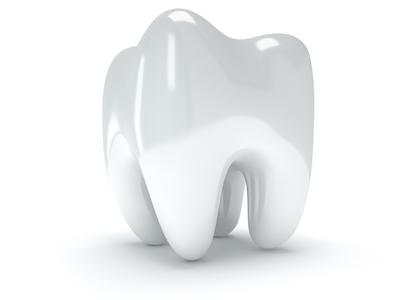 A model of a healthy tooth in Alpharetta Creek Restorative Dentistry